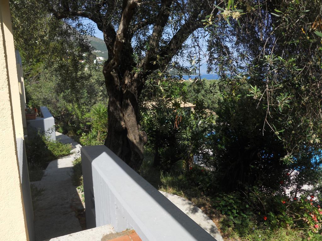 Aparthotel Barbati Beach Apartments