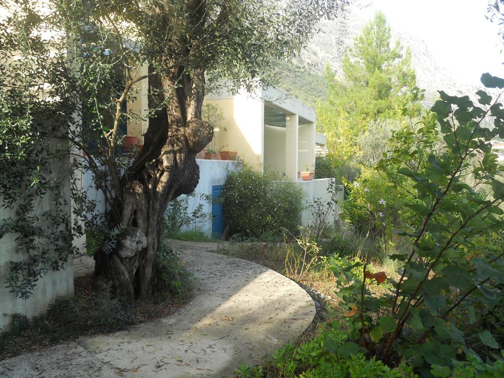Barbati Beach Apartments *